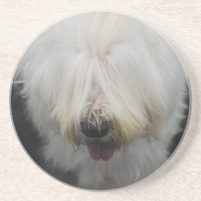 En Grès Vieux dessous de verre anglais mignons de chien de (Devant)