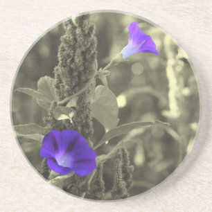 En Grès Wild Morning Glories Dessous de verre Floral