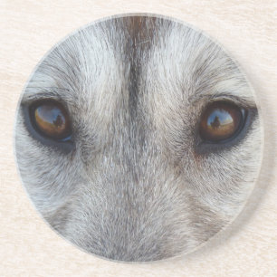 En Grès Wolf Eyes Dessous de verre Wolf Dog Art Dessous de