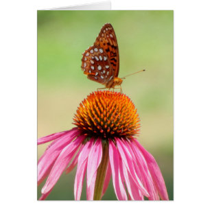 En Haut - Papillon Fritillaire