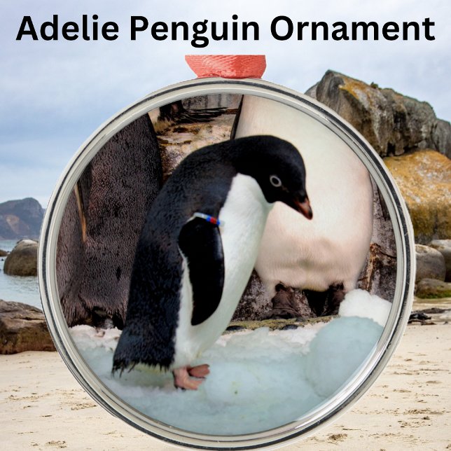 En Métal Adelie Penguin Premier Ornement (Créateur téléchargé)