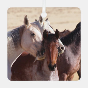 En Métal Amour de famille sauvage, Ornement