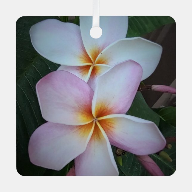 En Métal Ornement Carré Plumeria rose (Recto)
