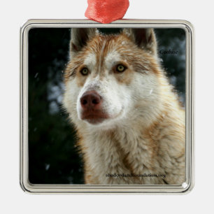 En Métal Ornement d'arbre de Noël de loup