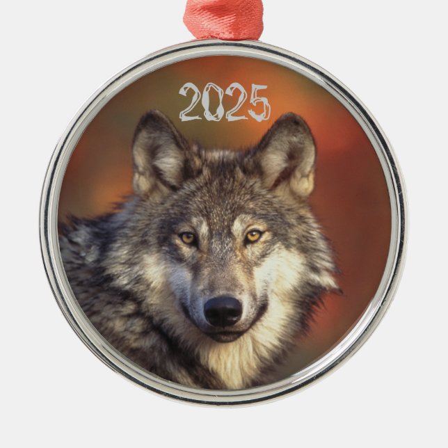 En Métal Ornement de loup gris (Devant)