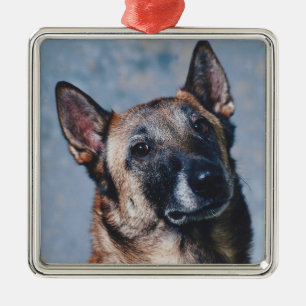 En Métal Ornement de Malinois de Belge