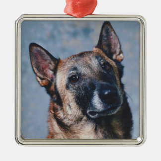 En Métal Ornement de Malinois de Belge
