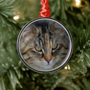 En Métal Ornement de portrait de chat tigré de Noël