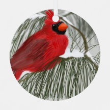 Ornement du cercle métallique de Noël