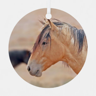 En Métal Stallion regarder ornement