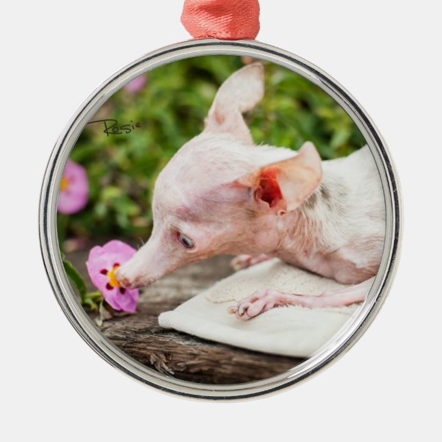 En Métal Tout ornement de photo de Rosie (Devant)