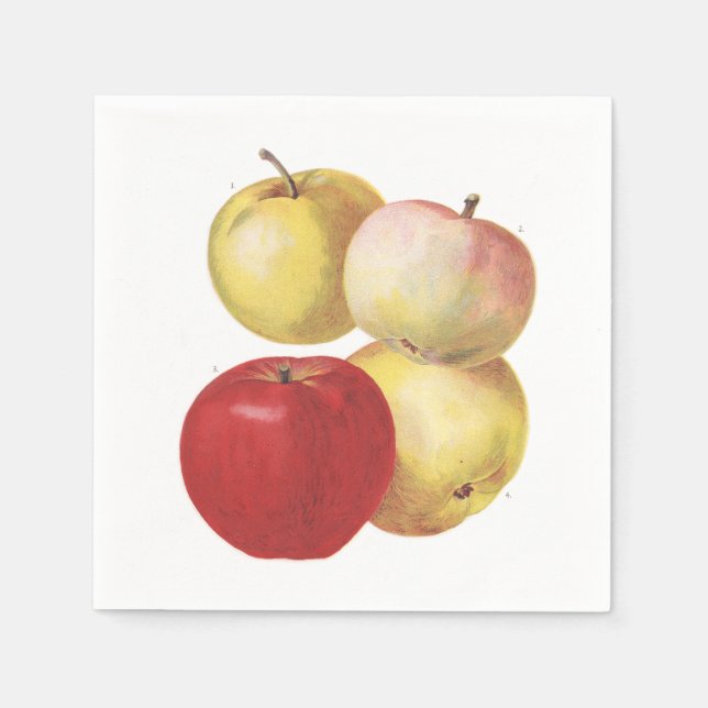 En Papier 4 pommes vintages serviette illustrée (Devant)