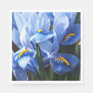 En Papier Jolie serviette bleue d'iris