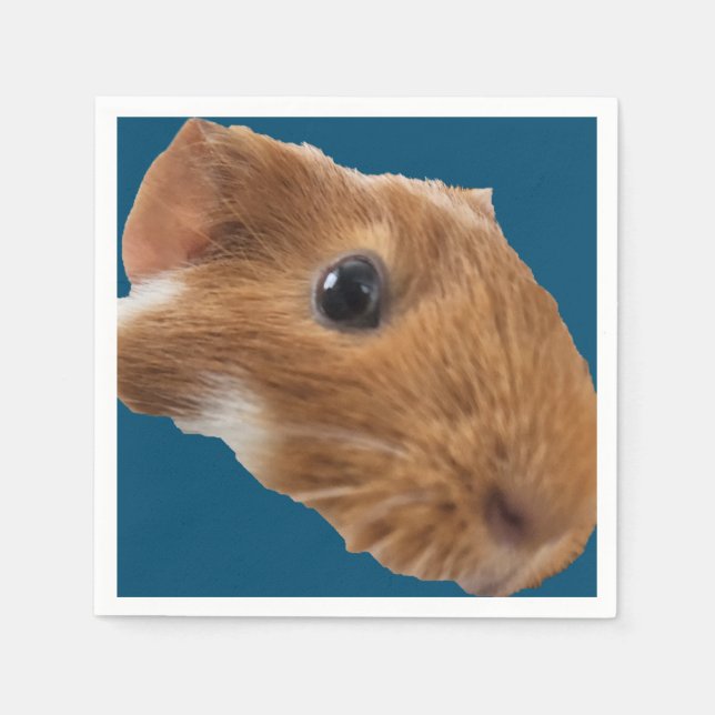 En Papier serviette de table (Devant)