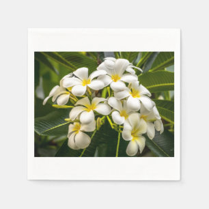 En Papier Serviette exotique de cocktail de Plumeria d'île