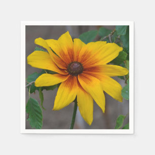 En Papier serviette Noir-eyed de Susan