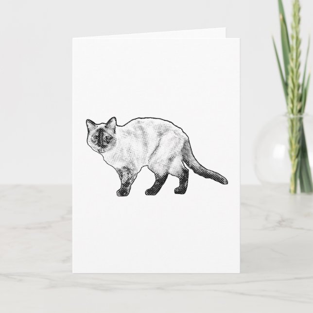 En pensant à vous, carte chat curieux (Devant)
