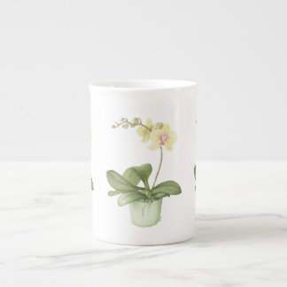 En Porcelaine Orchidée dans le pot vert dans la tasse botanique