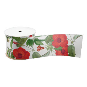 En Satin La ketmie rouge tropicale fleurit le ruban