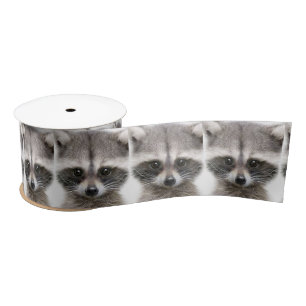 En Satin Ruban de la Figure Raccoon