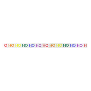 En Satin Ruban Rainbow Ho Ho Ho