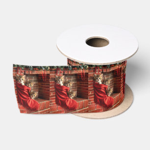 En Satin Trois chatons dans un ruban de chaussette de Noël