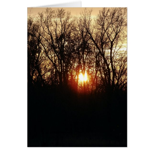 En Tant Que Soleil (Devant)