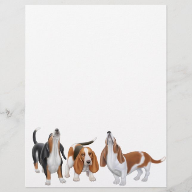 En-tête Basset Trio (Devant)