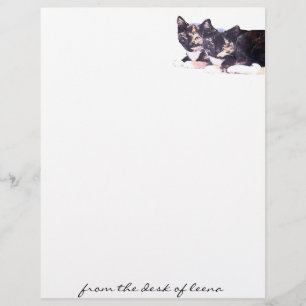 En-tête de la famille des fèces de chats