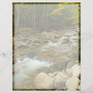 En-tête de la lettre Cascade Woodland
