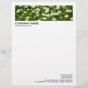 En-tête De Lettre 2 dans Header Bordure de 1/2 pouce - Marguerites e