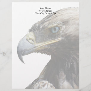 En-tête De Lettre Aigle