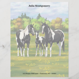 En-tête De Lettre Chevaux De Peinture De Pinto Noir En Pâturage Été