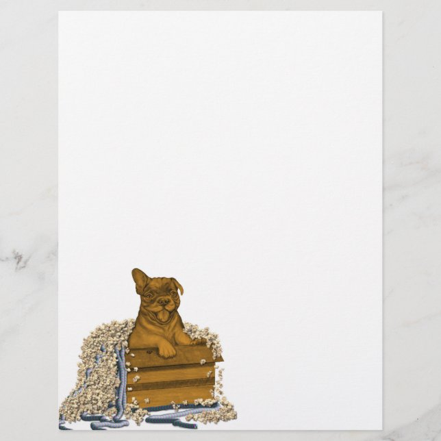 En-tête De Lettre Chiot dans une boîte (Devant)