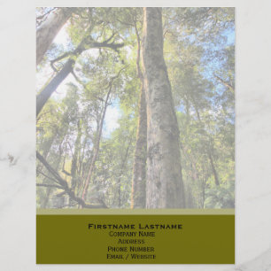 En-tête De Lettre Customisée Eucalyptus gommiers de la forêt pluviale australie