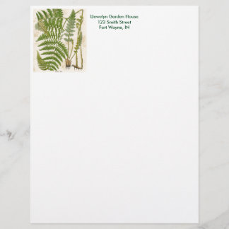 En-tête De Lettre Customisée Page botanique vintage - Fern