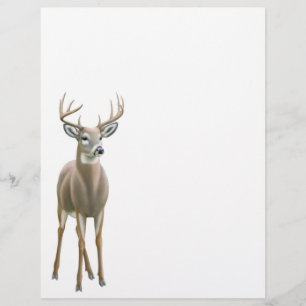 En-tête de lettre de cerf blanc