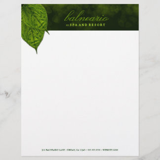 en-tête de lettre de la feuille 311-Dream