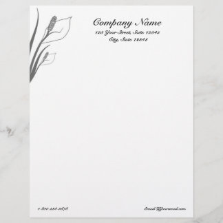 En-tête de lettre de zantedeschias