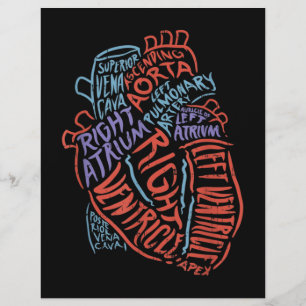 En-tête De Lettre Docteur en anatomie cardiologue Biologie Médicale