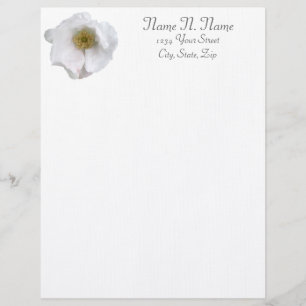 En-tête de lettre du Rose de la plage blanche