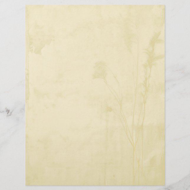 En-tête De Lettre En-tête papier Boho (Devant)