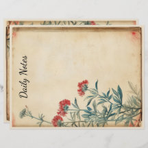 Ephémère de l'illustration de fleurs Yarrow