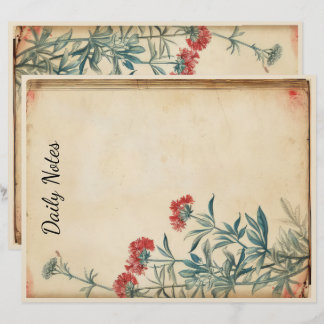 En-tête De Lettre Ephémère de l'illustration de fleurs Yarrow