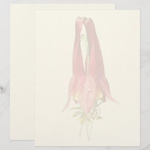 En-tête De Lettre Fleur d'Ancolie Rouge