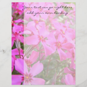 En-tête de lettre Fleurs de Phlox Rose
