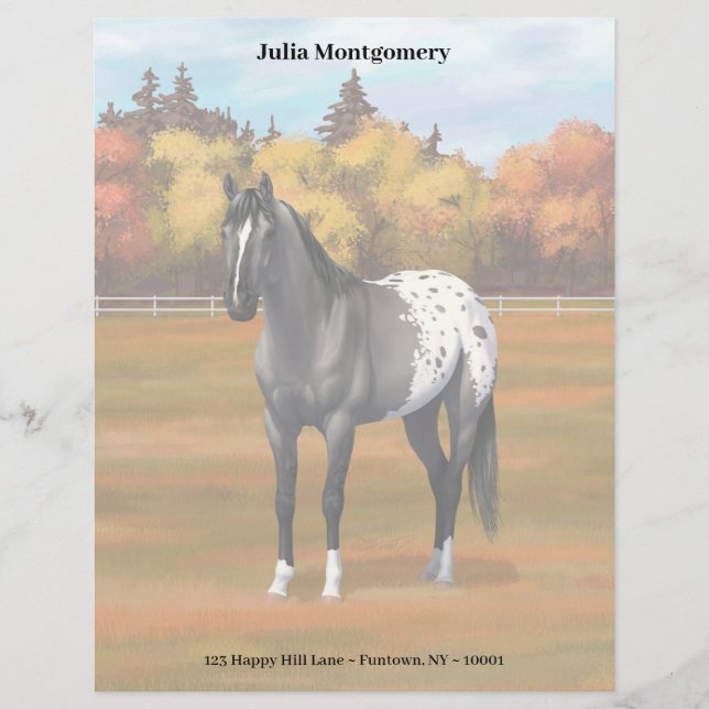 En-tête De Lettre Gris Grulla Appaloosa Quartier Horse Stallion (Devant)