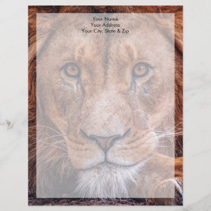 En-tête De Lettre Lion africain