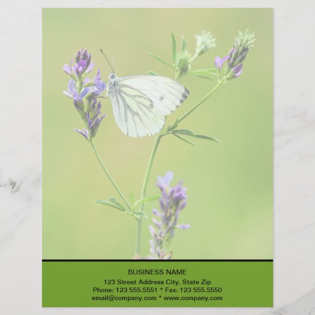 En-tête De Lettre Papillon Blanc à Veines Vertes (Devant)