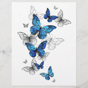 En-tête De Lettre Papillons volants bleus Morpho
